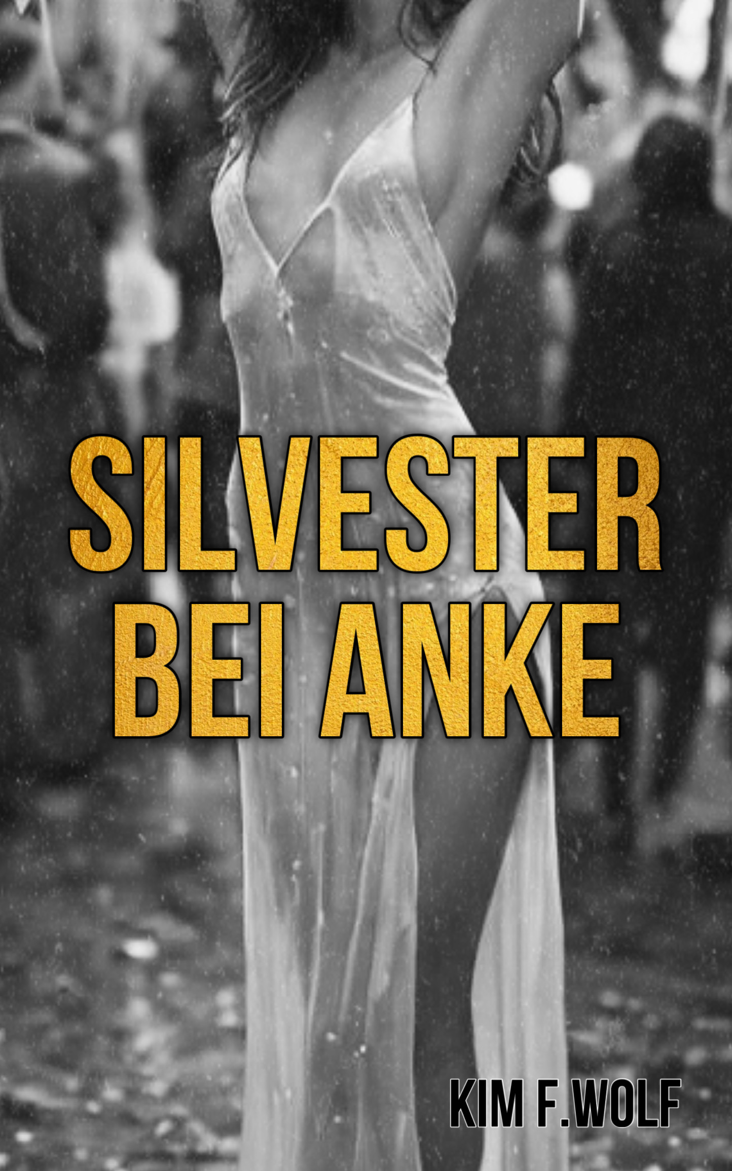 erotische Geschichte Silvester bei Anke Silvester bei Anke,